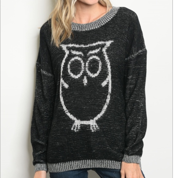 C.C. Boutique Sweaters - 1 LEFT SZ S! NWT Fuzzy Oversized Owl Sweater